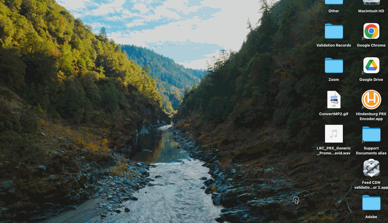 ConvertMP2.gif
